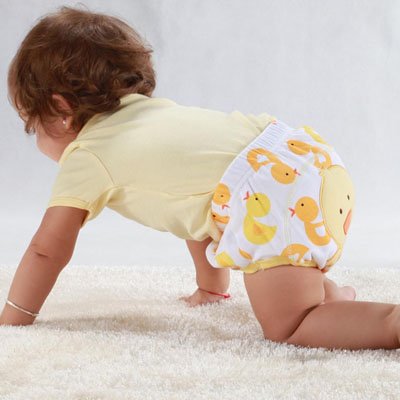 Culotte d'apprentissage 