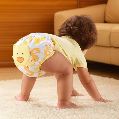 Culotte d'apprentissage 