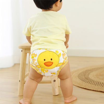 Culotte d'apprentissage 