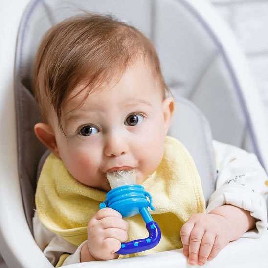 Grignoteuse bébé 