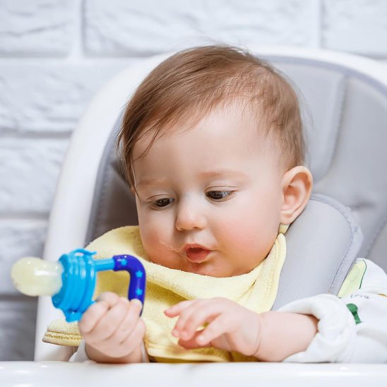 Grignoteuse bébé 
