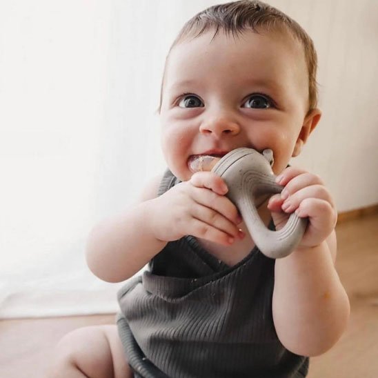 Grignoteuse bebe 